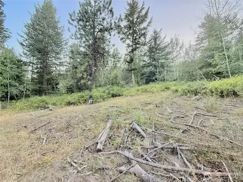 0 Tbd Buzzard Lake Road Okanogan WA 98840