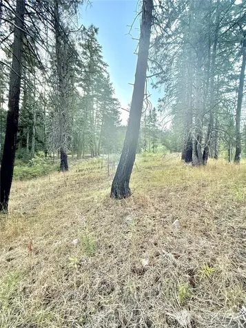 0 Tbd Buzzard Lake Road Okanogan WA 98840