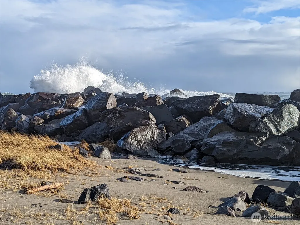 199 S Narwhal Loop SW Ocean Shores WA 98569