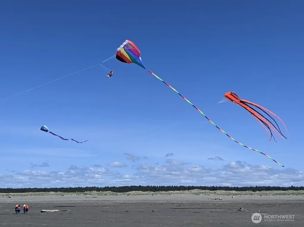 199 S Narwhal Loop SW Ocean Shores WA 98569