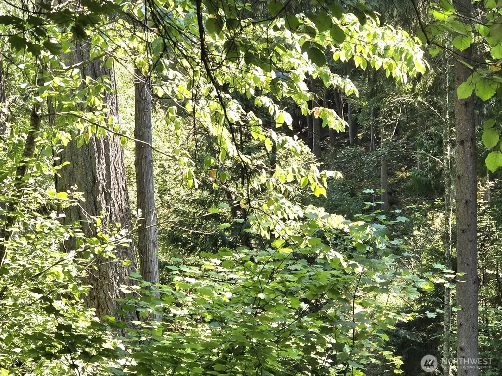 21815 Beachside Drive SE Yelm WA 98597