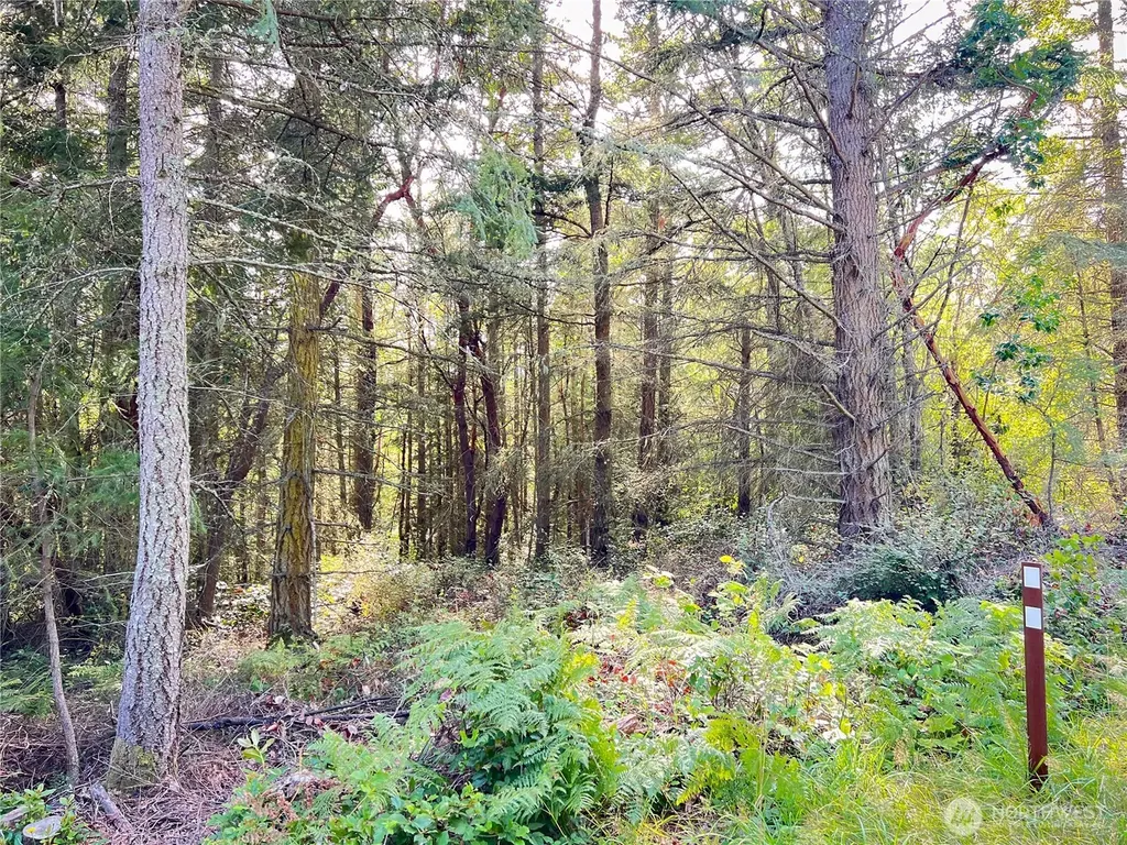 999 Cape George Road Port Townsend WA 98368