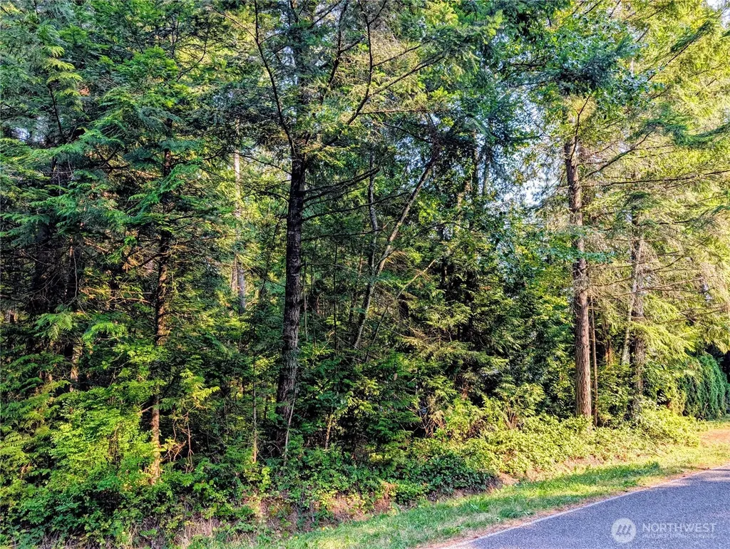 2 Mill Road Point Roberts WA 98281