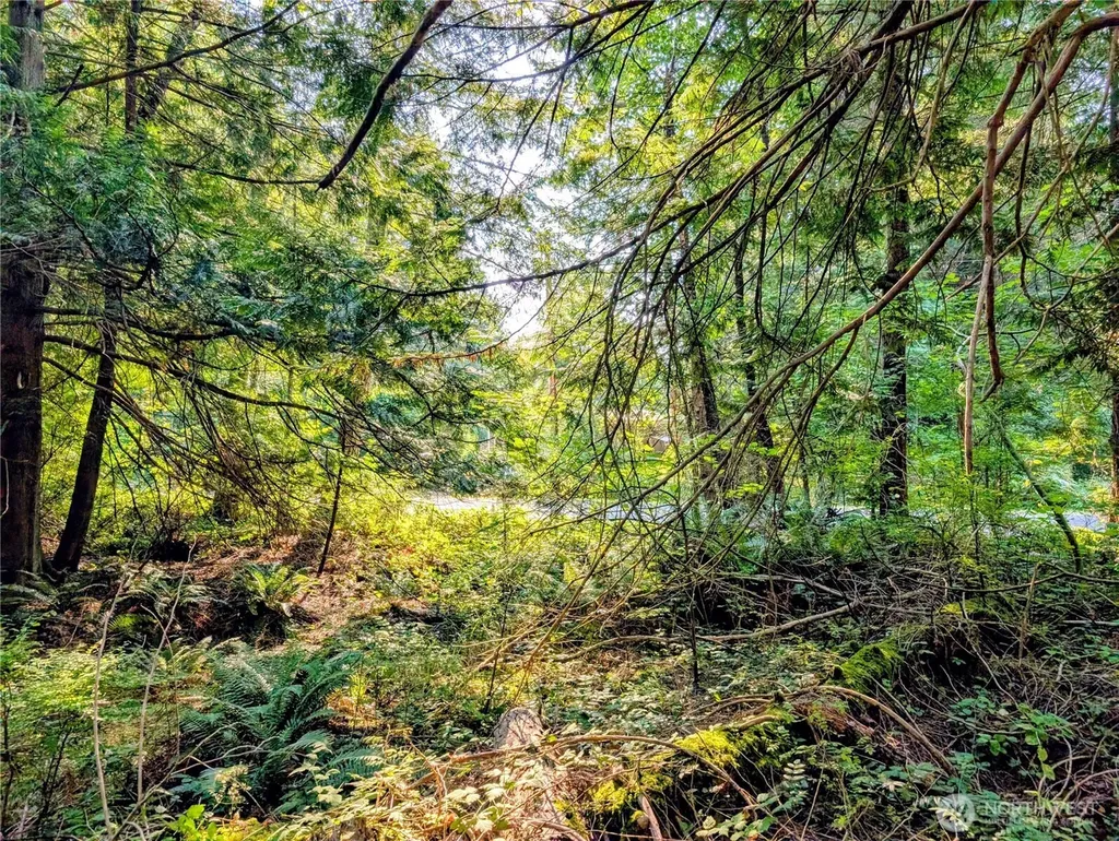 2 Mill Road Point Roberts WA 98281
