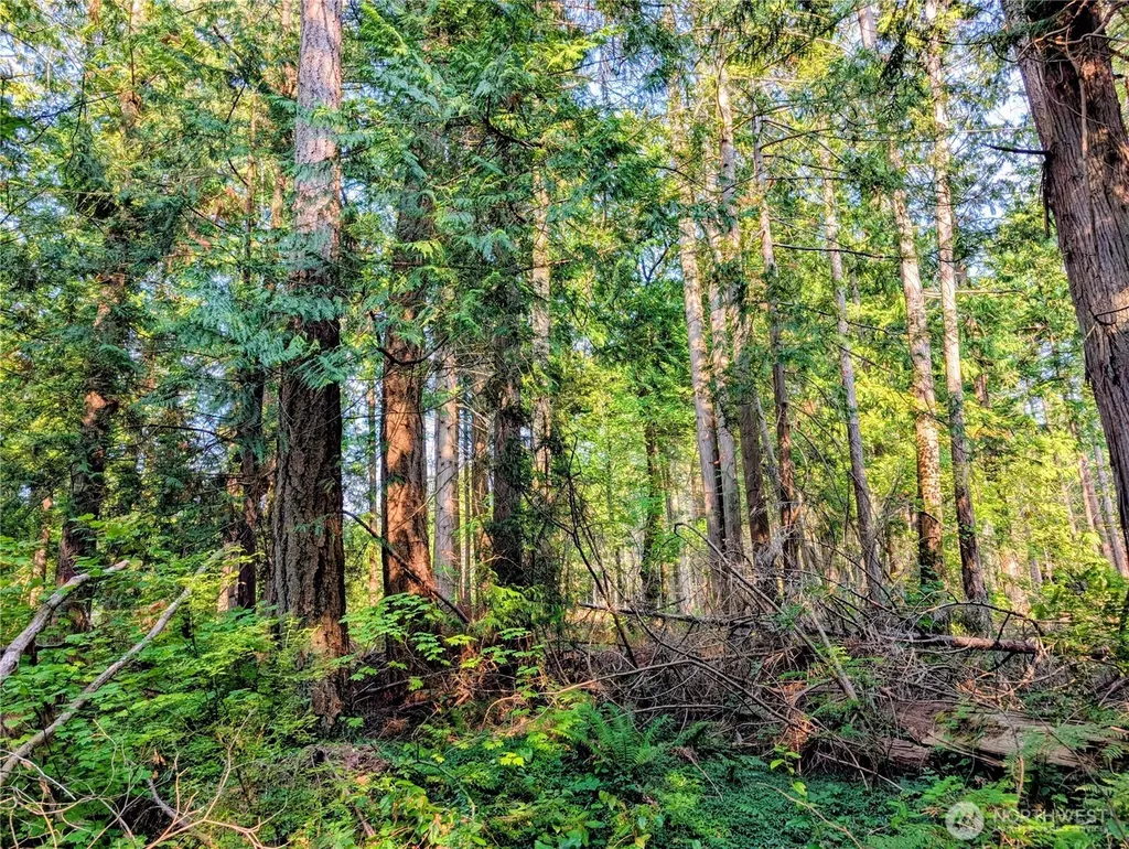 2 Mill Road Point Roberts WA 98281