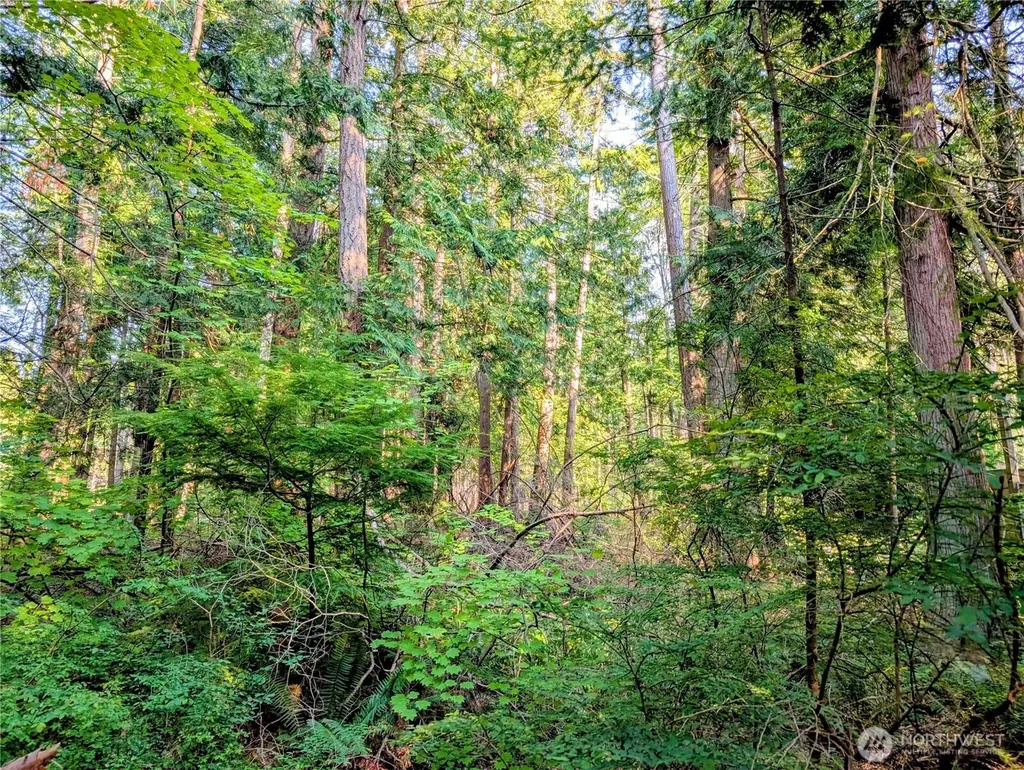 2 Mill Road Point Roberts WA 98281