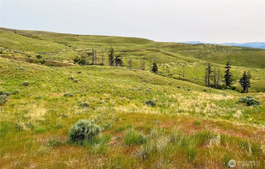 8 Blue Grade Road East Wenatchee WA 98802