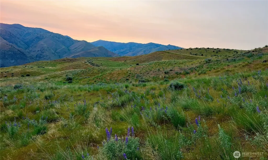 6 Blue Grade Road East Wenatchee WA 98802