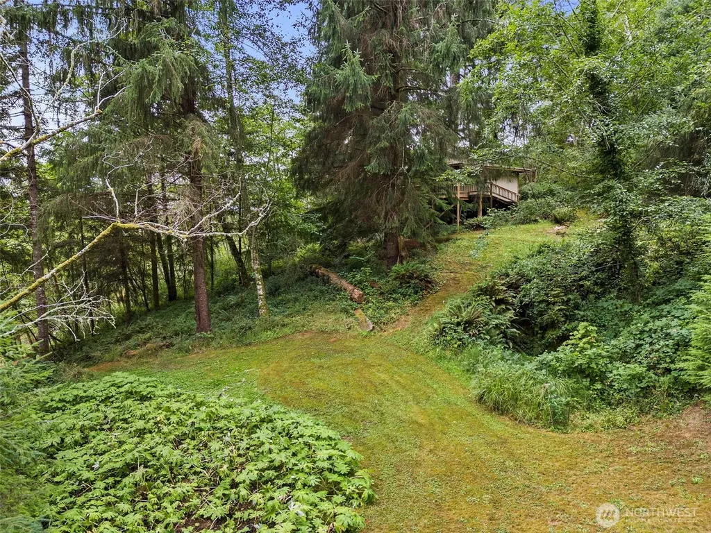 43 Hines Valley Road Raymond WA 98577