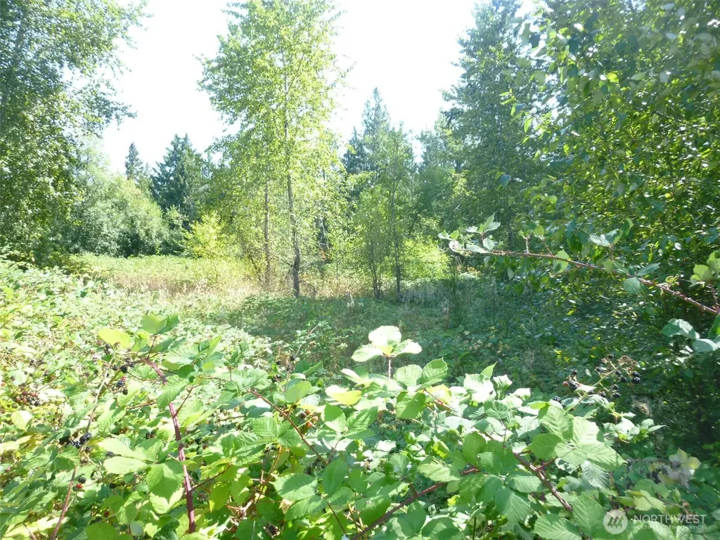 0 Larch Way Lynnwood WA 98036