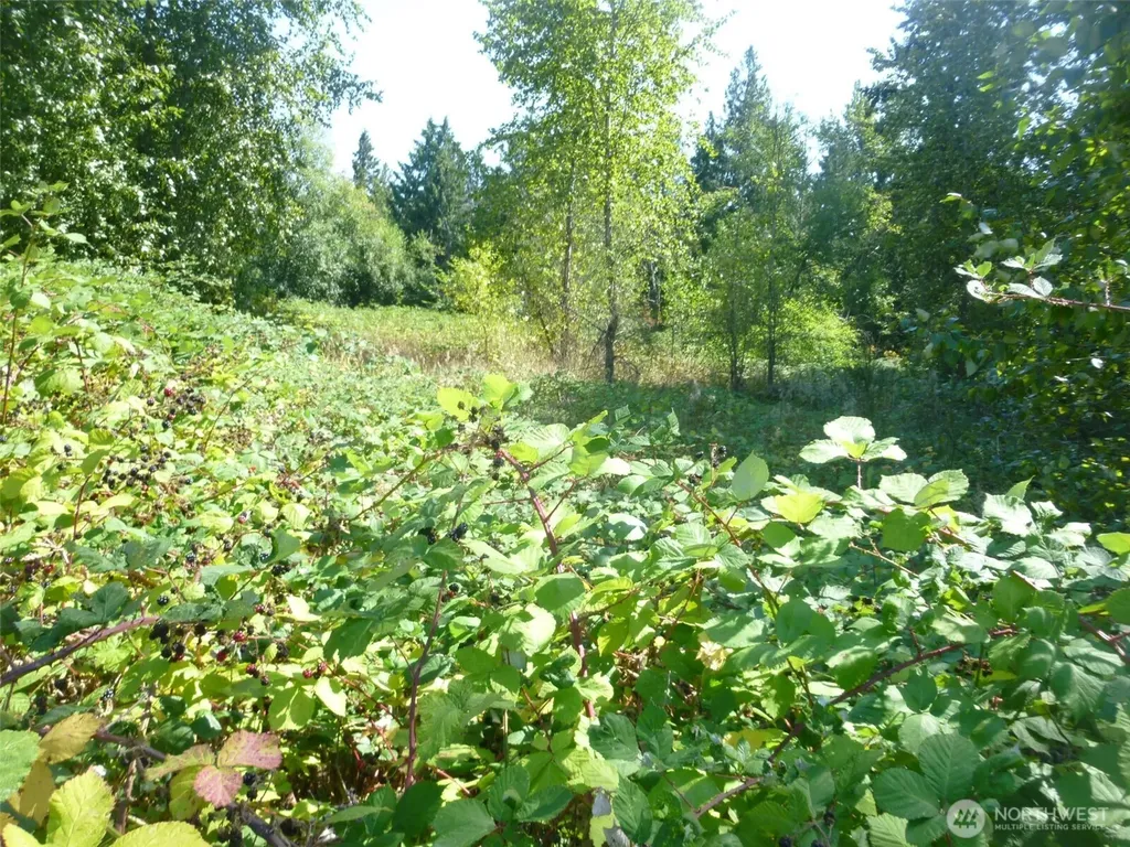 0 Larch Way Lynnwood WA 98036