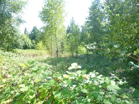0 Larch Way Lynnwood WA 98036
