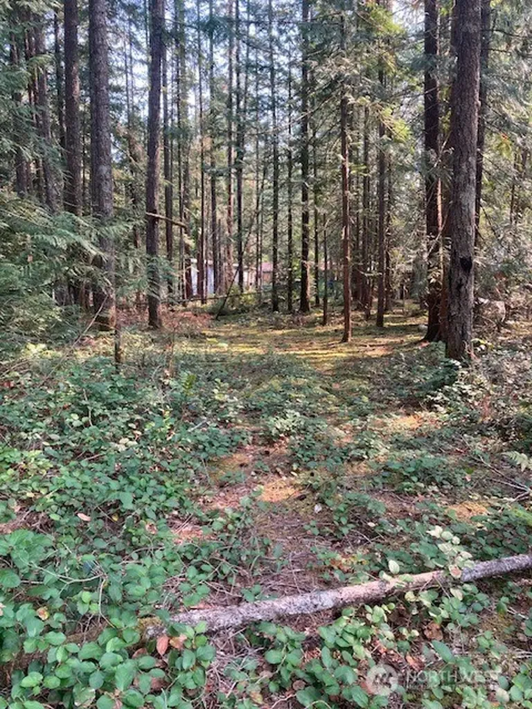 180 N Union Drive Hoodsport WA 98548
