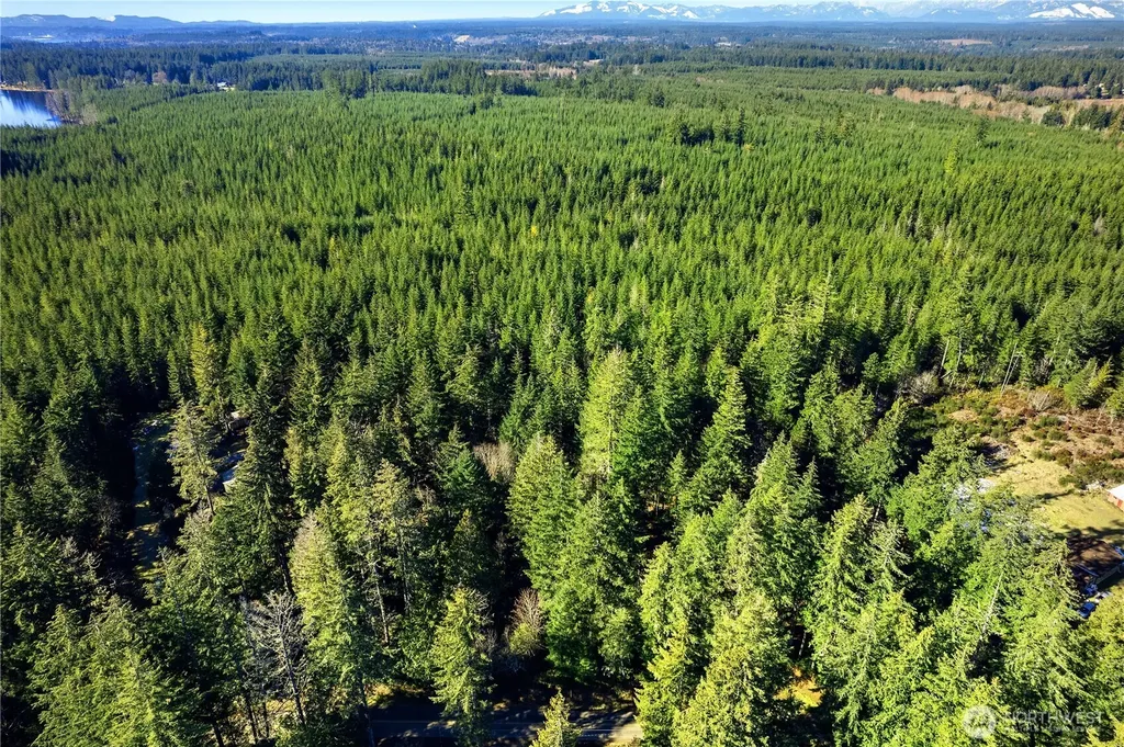 1671 E Phillips Lake Loop Road Shelton WA 98584