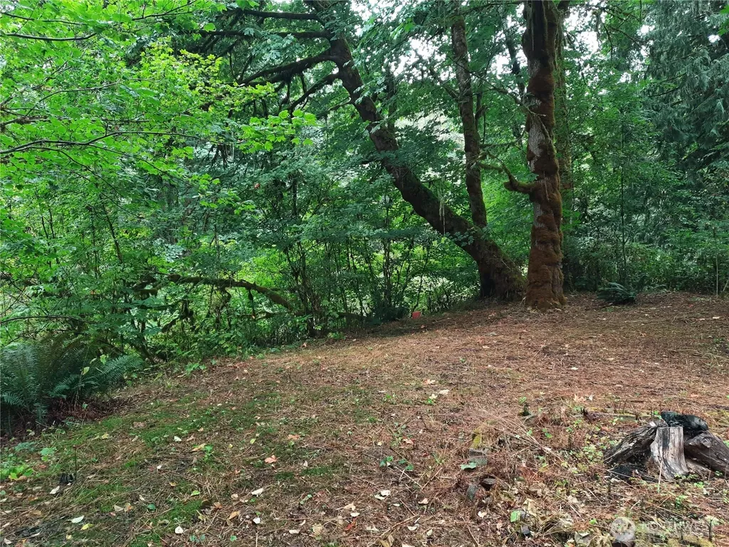 13816 White Falls Lane Concrete WA 98237