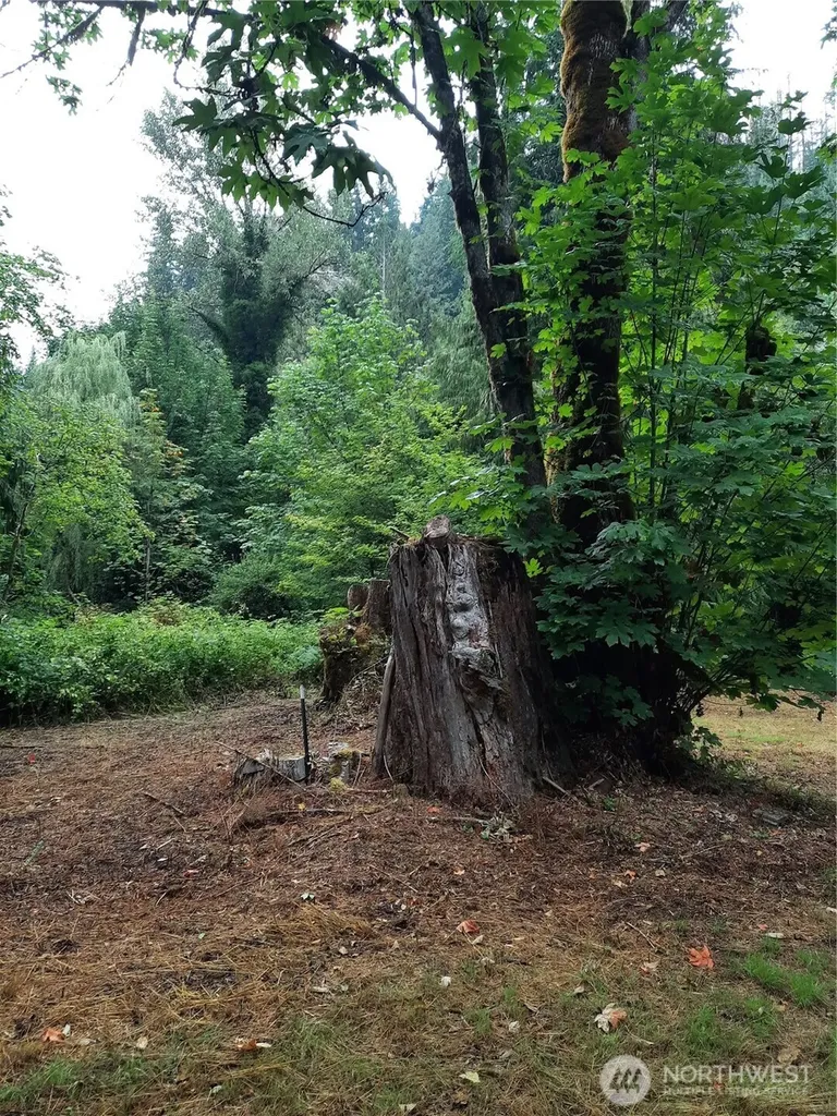 13816 White Falls Lane Concrete WA 98237