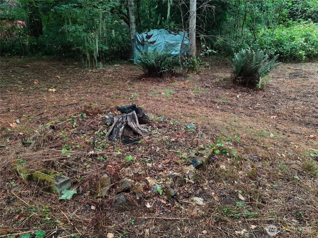 13816 White Falls Lane Concrete WA 98237