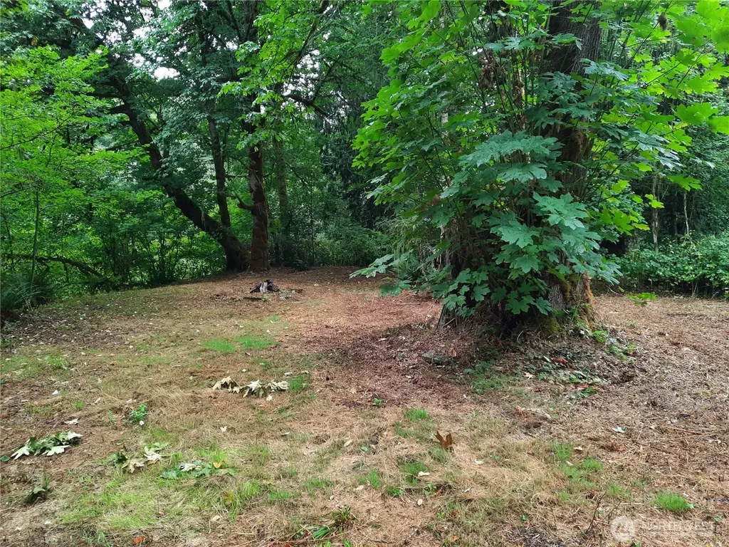 13816 White Falls Lane Concrete WA 98237