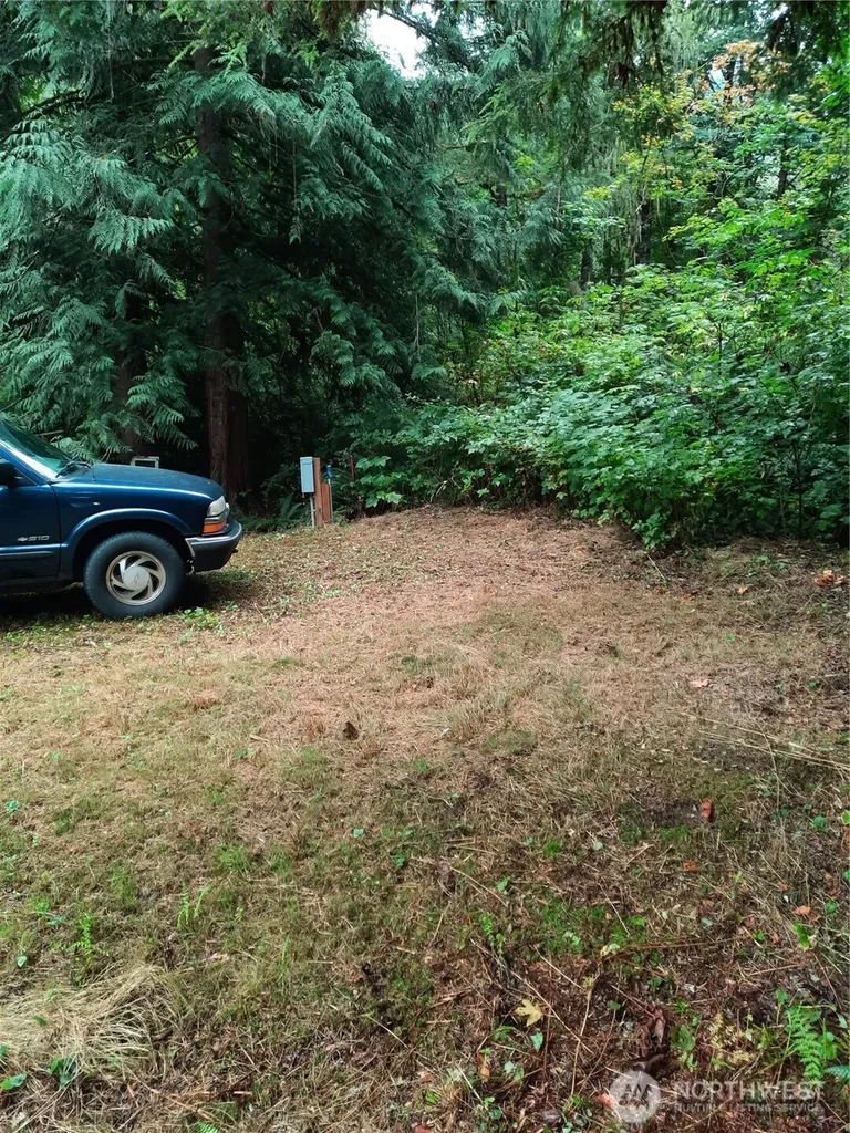 13816 White Falls Lane Concrete WA 98237