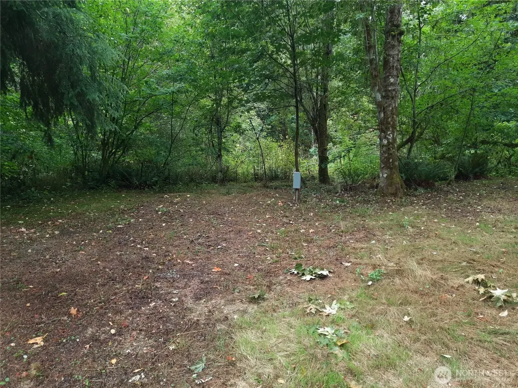 13816 White Falls Lane Concrete WA 98237