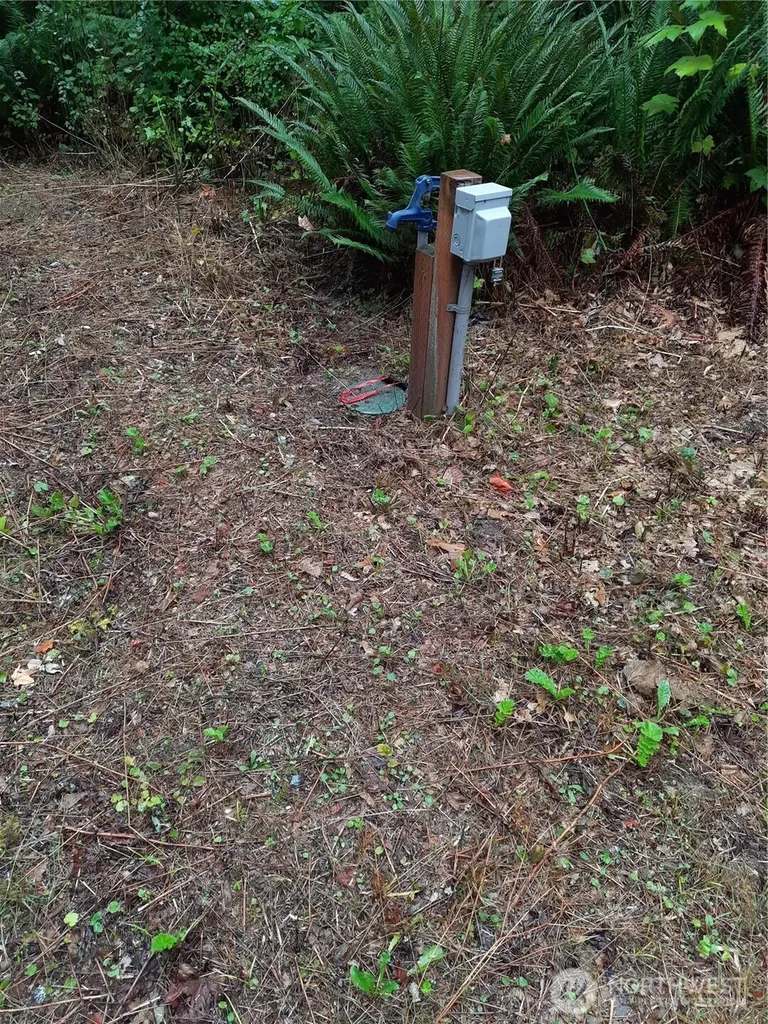13816 White Falls Lane Concrete WA 98237