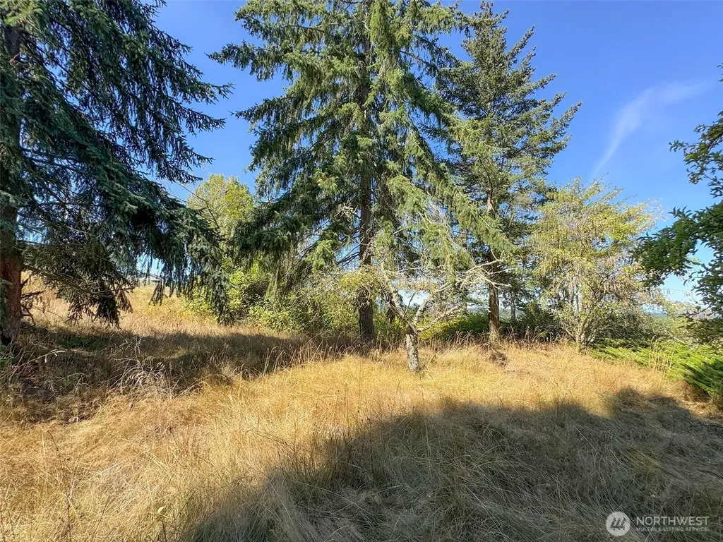 463 Miller Road Sequim WA 98382