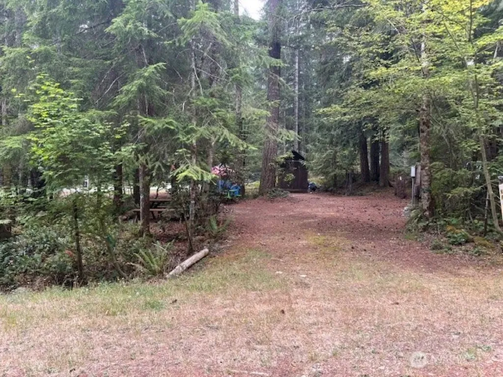 31 N Kitma Hoodsport WA 98548