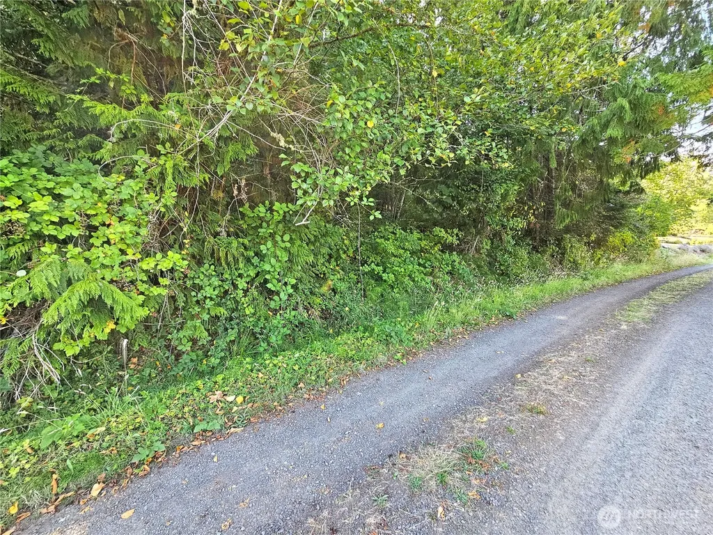 0 N Bay Way Port Ludlow WA 98365