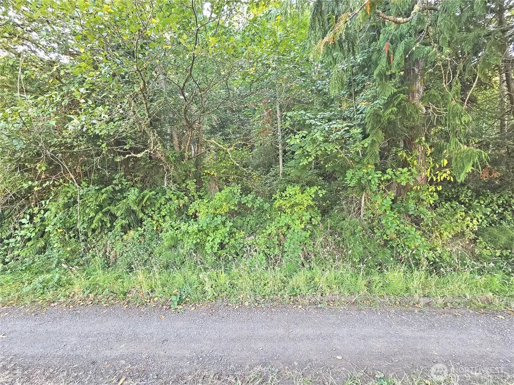 0 N Bay Way Port Ludlow WA 98365