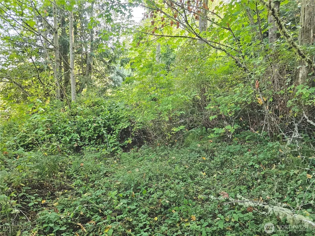 0 N Bay Way Port Ludlow WA 98365