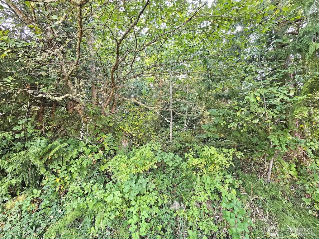 0 N Bay Way Port Ludlow WA 98365