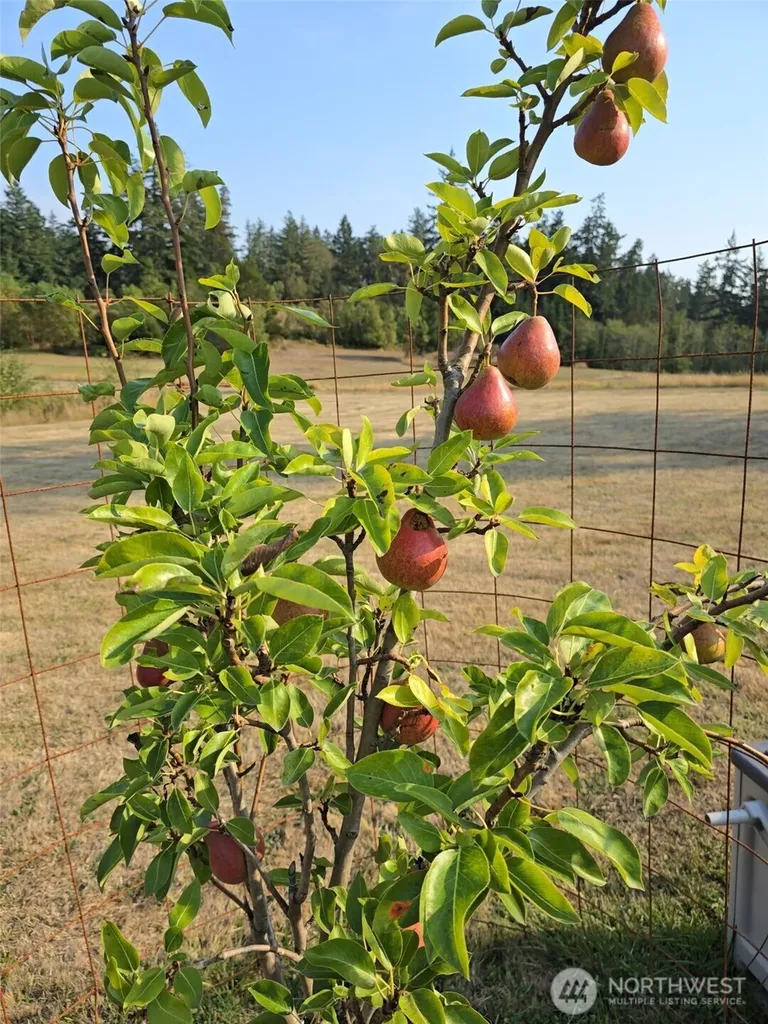 437 Woodpecker Lane Friday Harbor WA 98250
