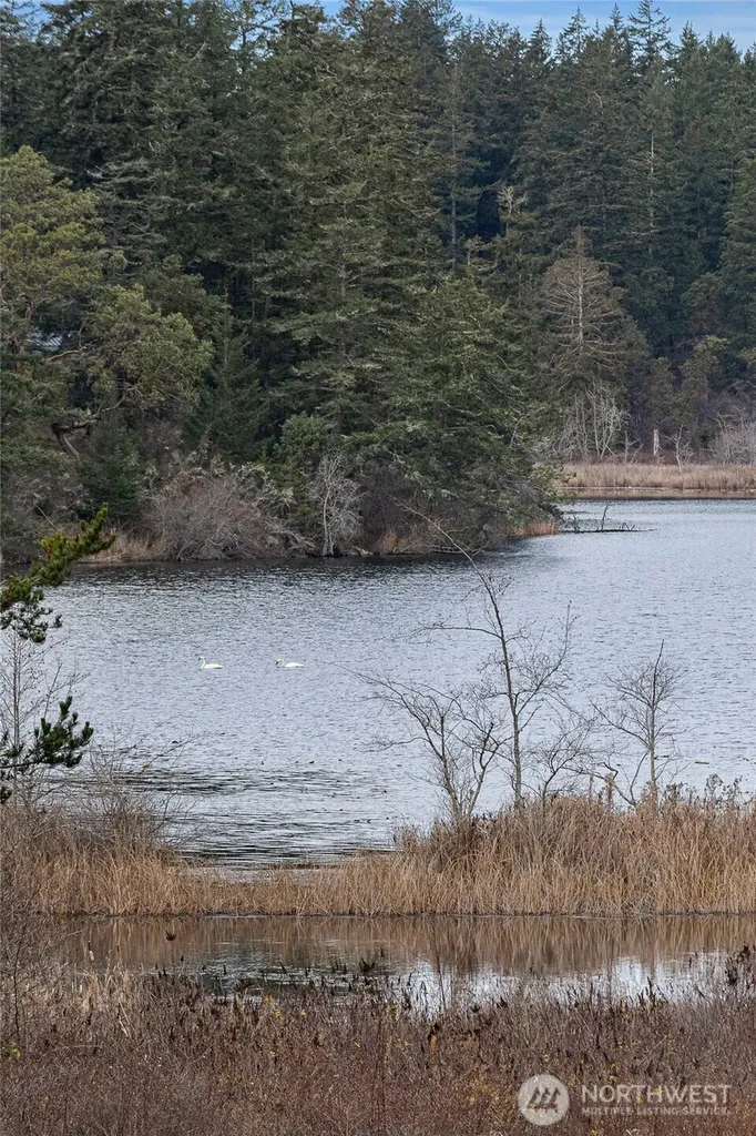 437 Woodpecker Lane Friday Harbor WA 98250