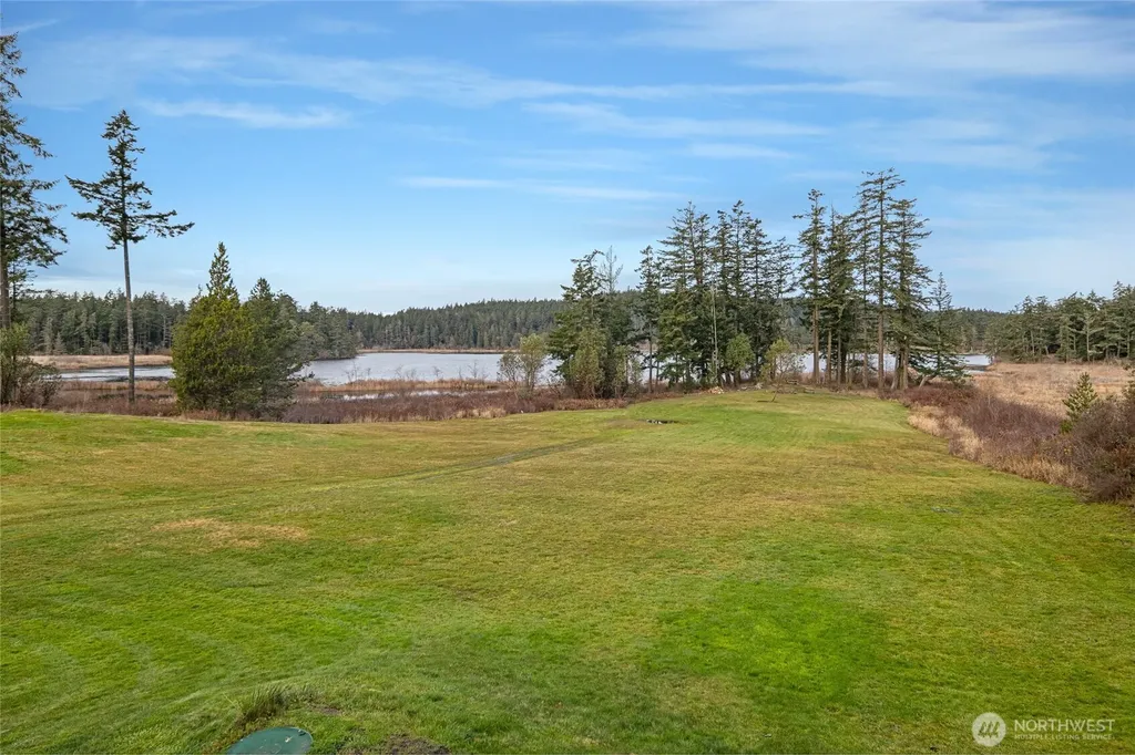 437 Woodpecker Lane Friday Harbor WA 98250