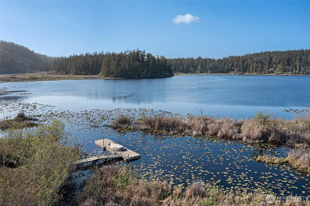437 Woodpecker Lane Friday Harbor WA 98250