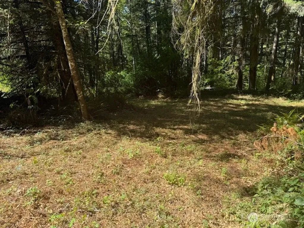 20325 Bucoda Highway SE Centralia WA 98531