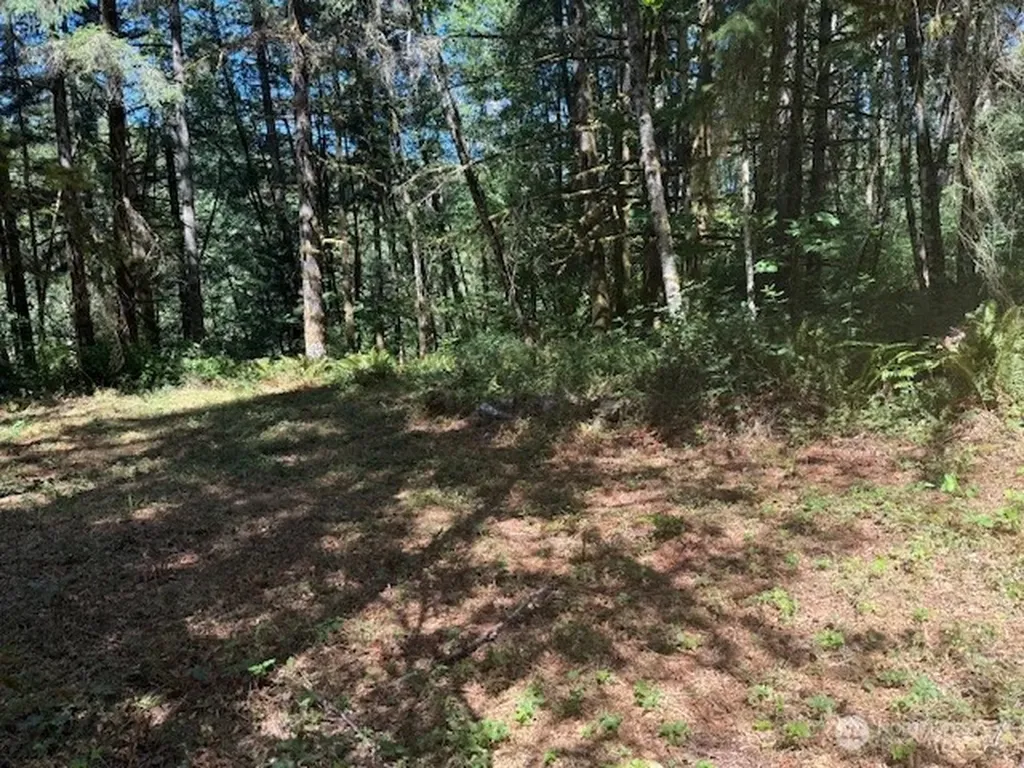 20325 Bucoda Highway SE Centralia WA 98531
