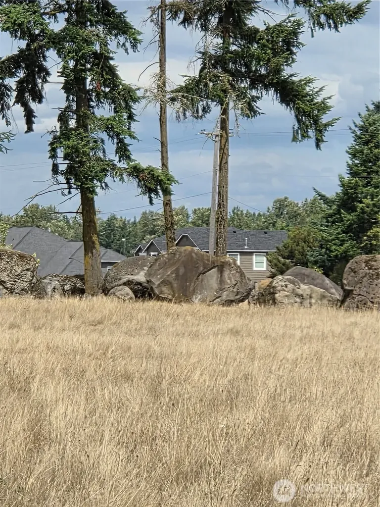 32002 48th Avenue S Roy WA 98580