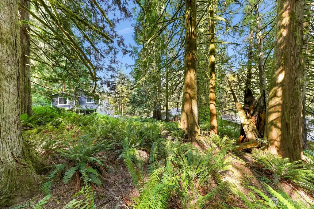 14 Woodpecker Place Bellingham WA 98229