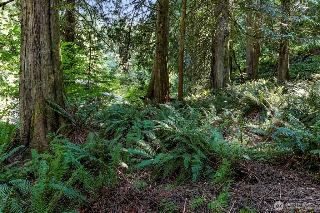 14 Woodpecker Place Bellingham WA 98229