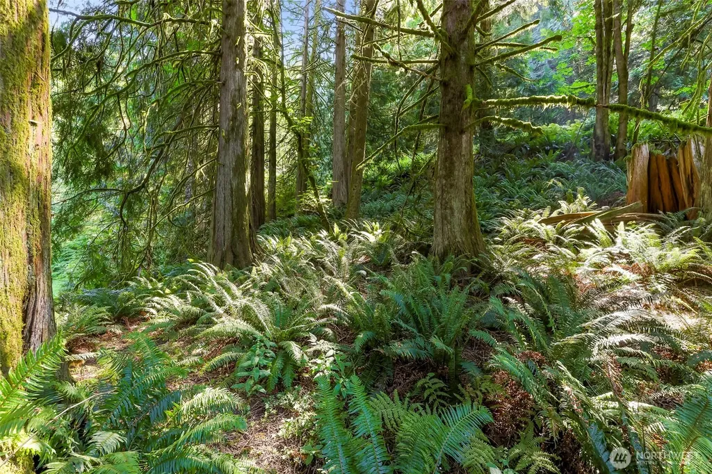 14 Woodpecker Place Bellingham WA 98229