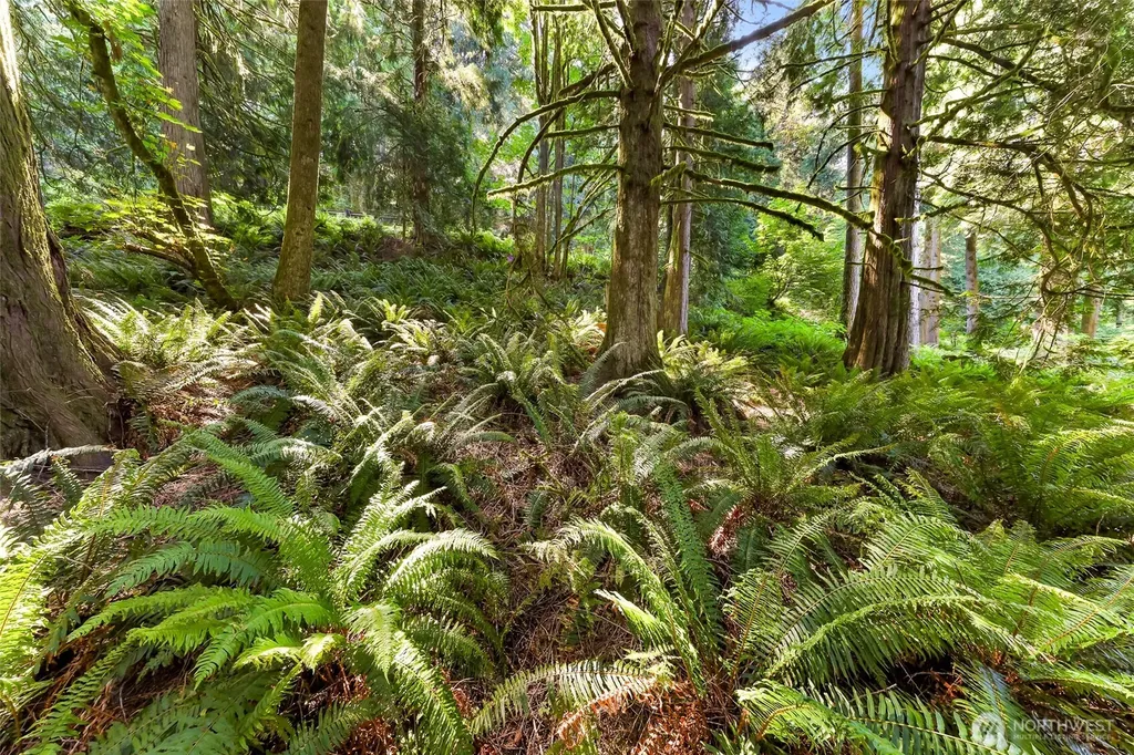 14 Woodpecker Place Bellingham WA 98229