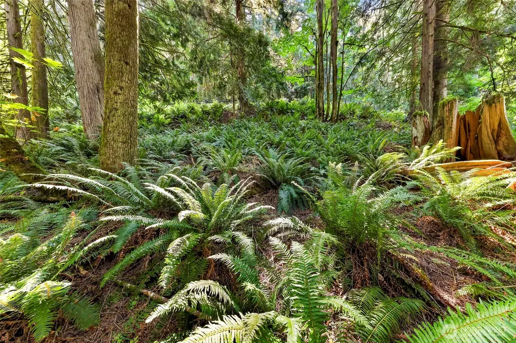 14 Woodpecker Place Bellingham WA 98229