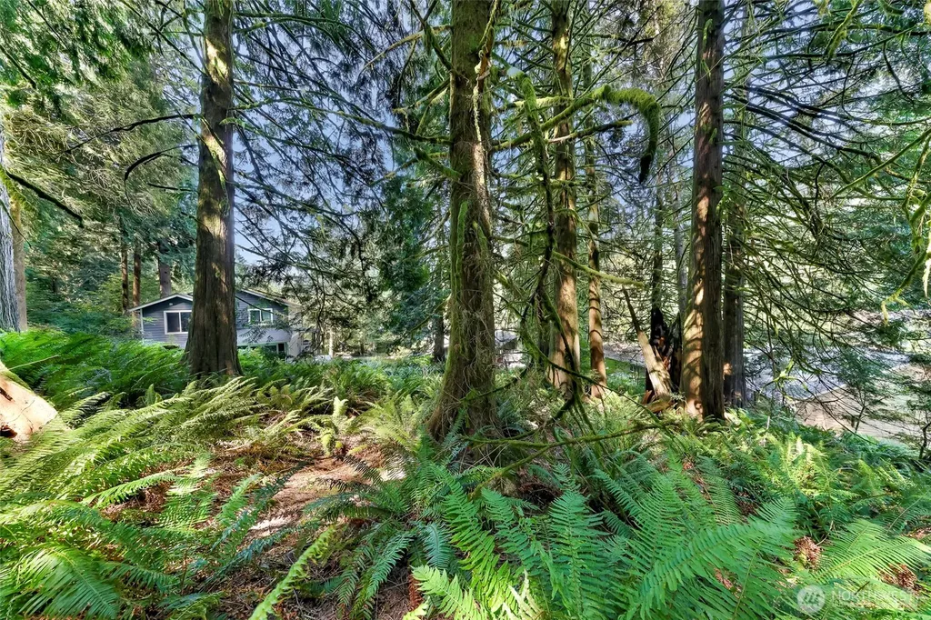 14 Woodpecker Place Bellingham WA 98229
