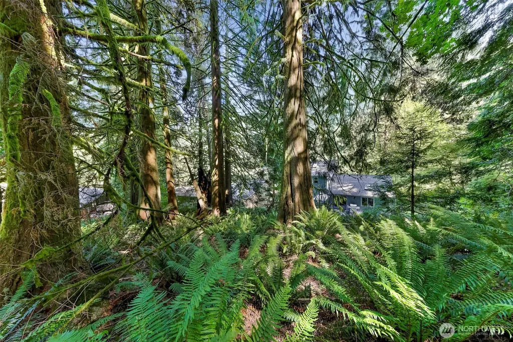 14 Woodpecker Place Bellingham WA 98229