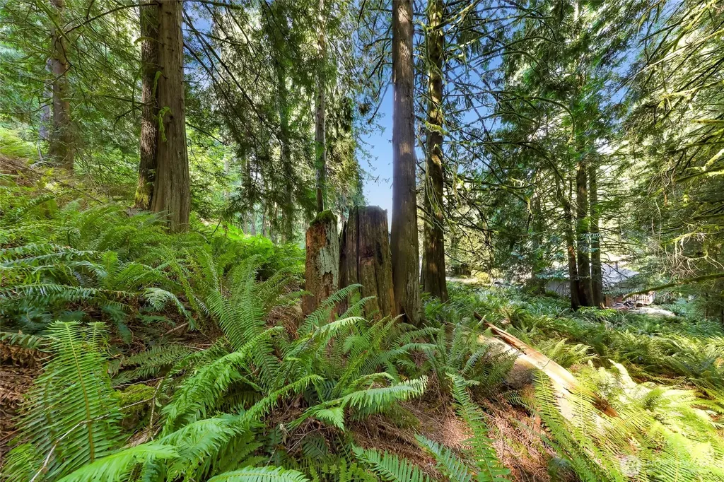 14 Woodpecker Place Bellingham WA 98229