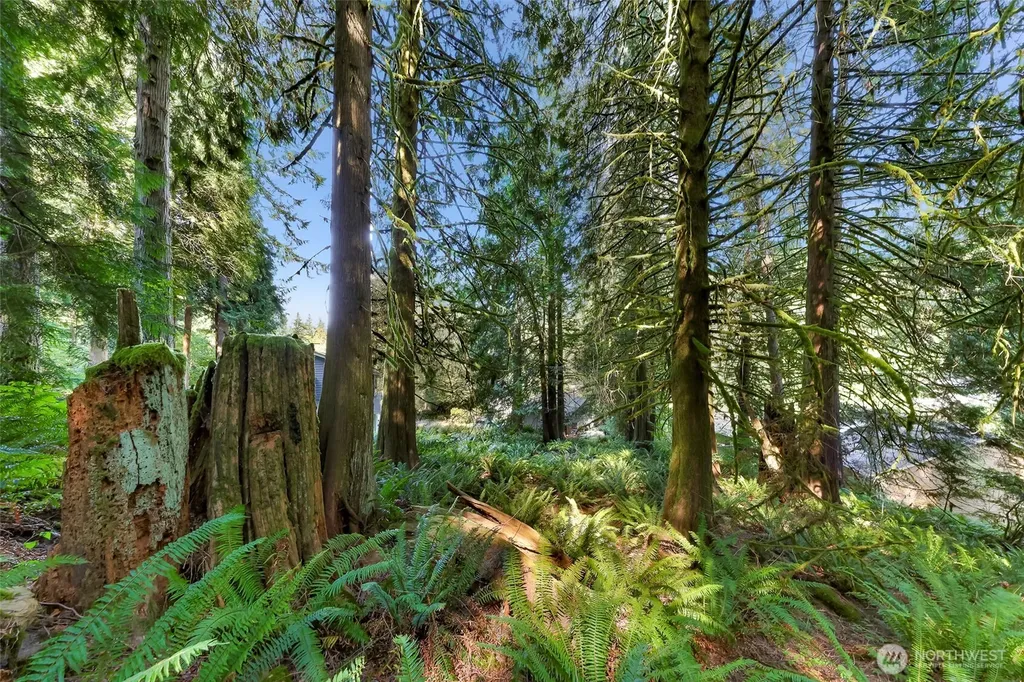 14 Woodpecker Place Bellingham WA 98229