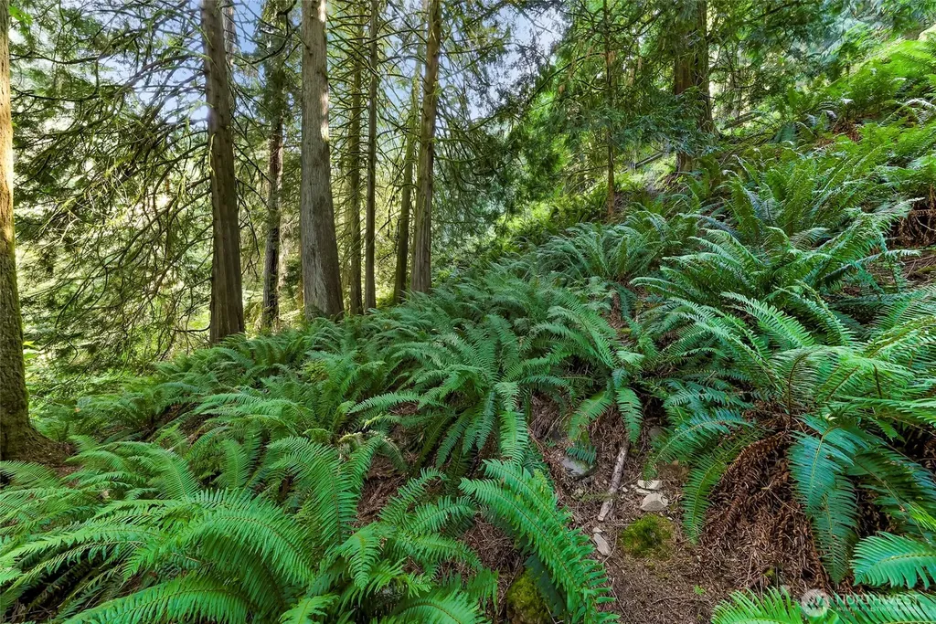 14 Woodpecker Place Bellingham WA 98229