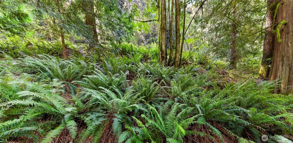 14 Woodpecker Place Bellingham WA 98229