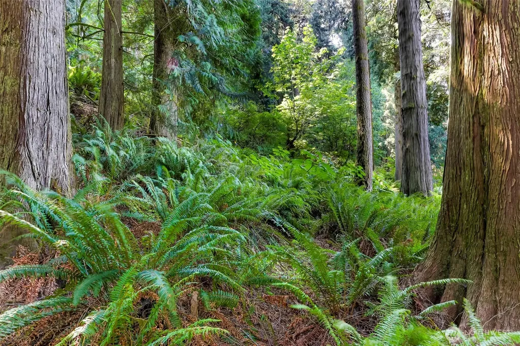 14 Woodpecker Place Bellingham WA 98229